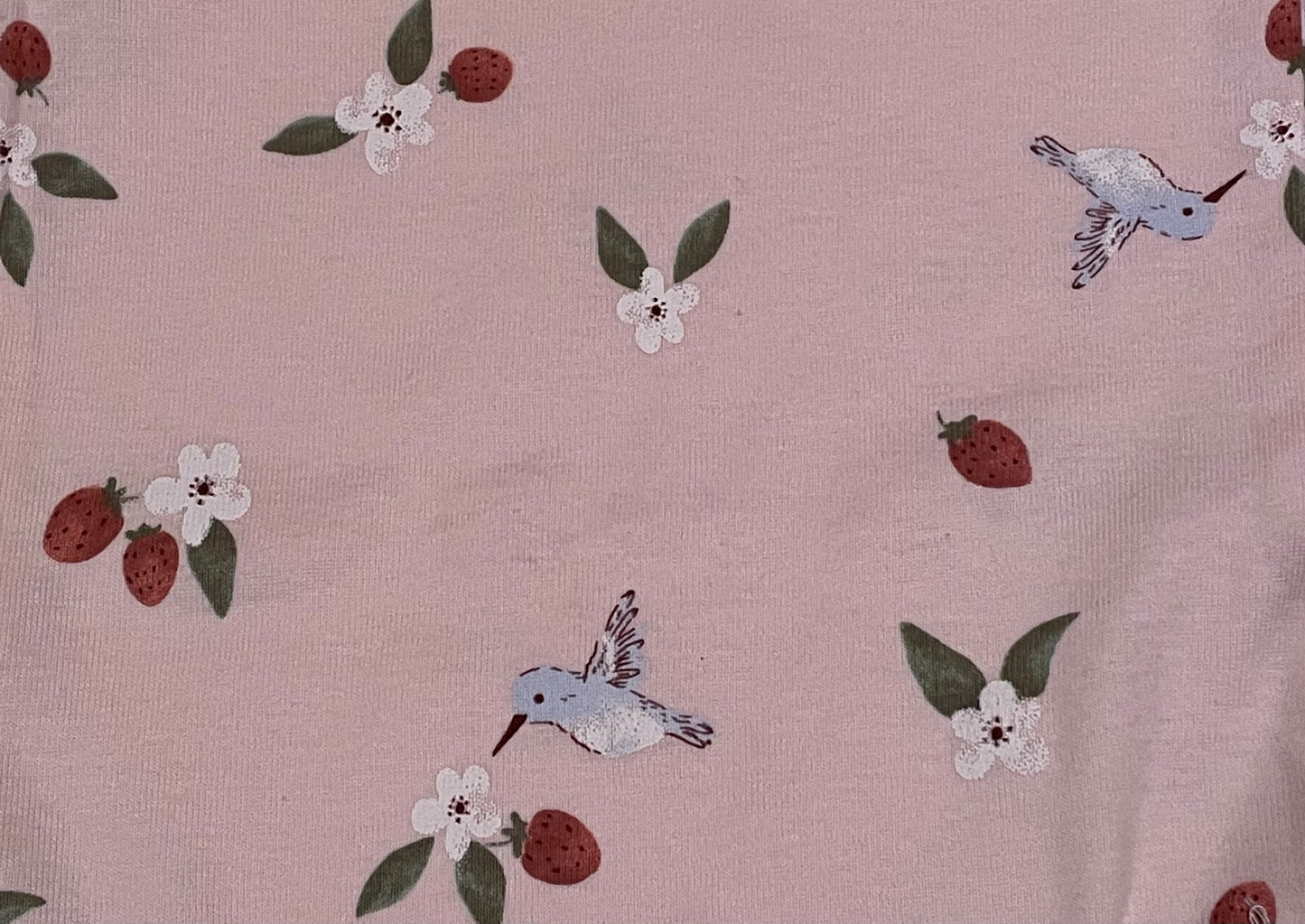 Baby Girl Hummingbird Onesie